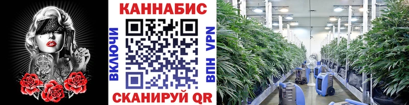 Марихуана VHQ  Купить где  Называевск 